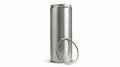 6-Inch Chimney Pipe x 19-Inch Length (Class A Stainless Steel)
